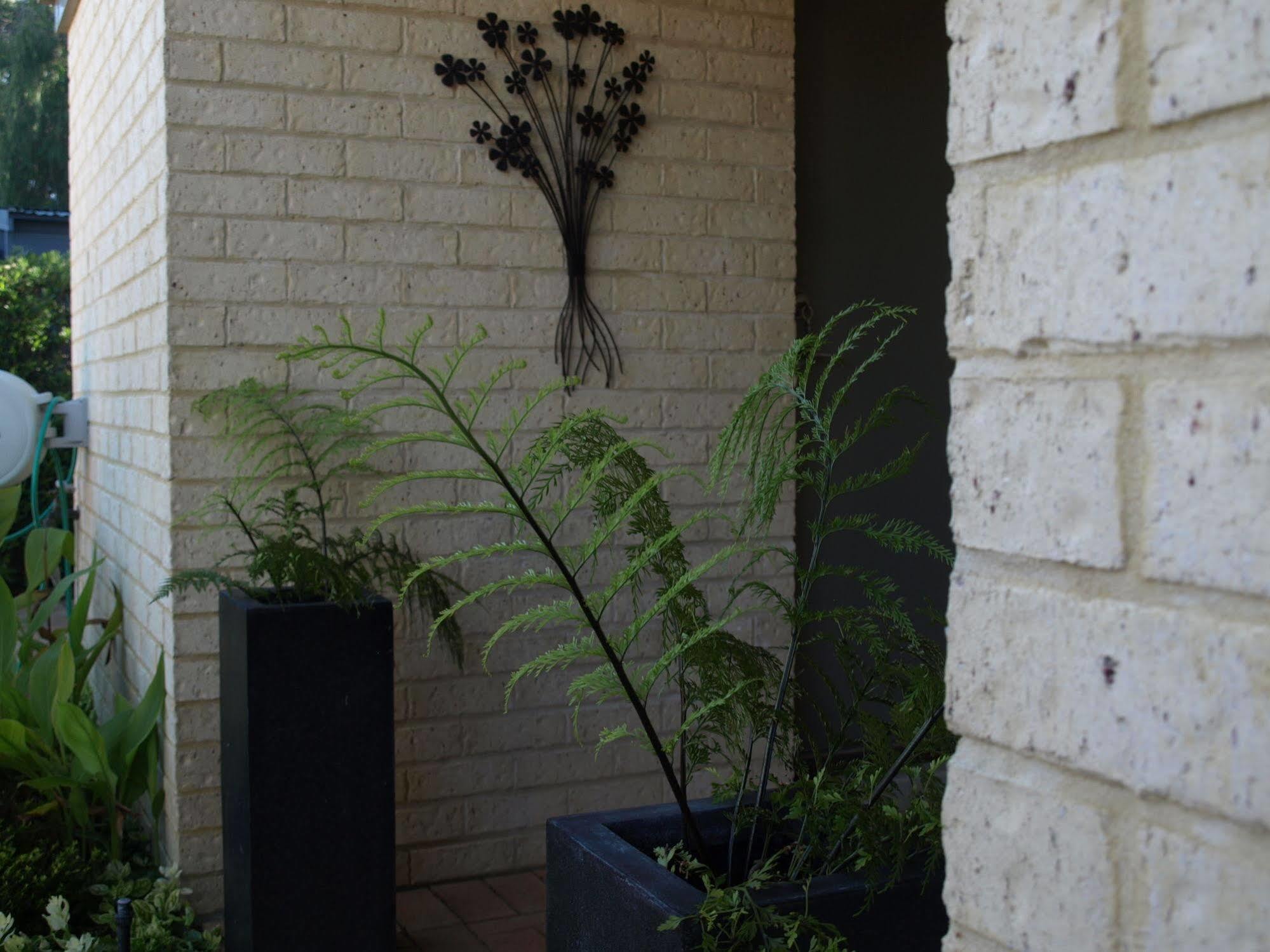 Baudins Of Busselton Bed And Breakfast - Adults Only Экстерьер фото