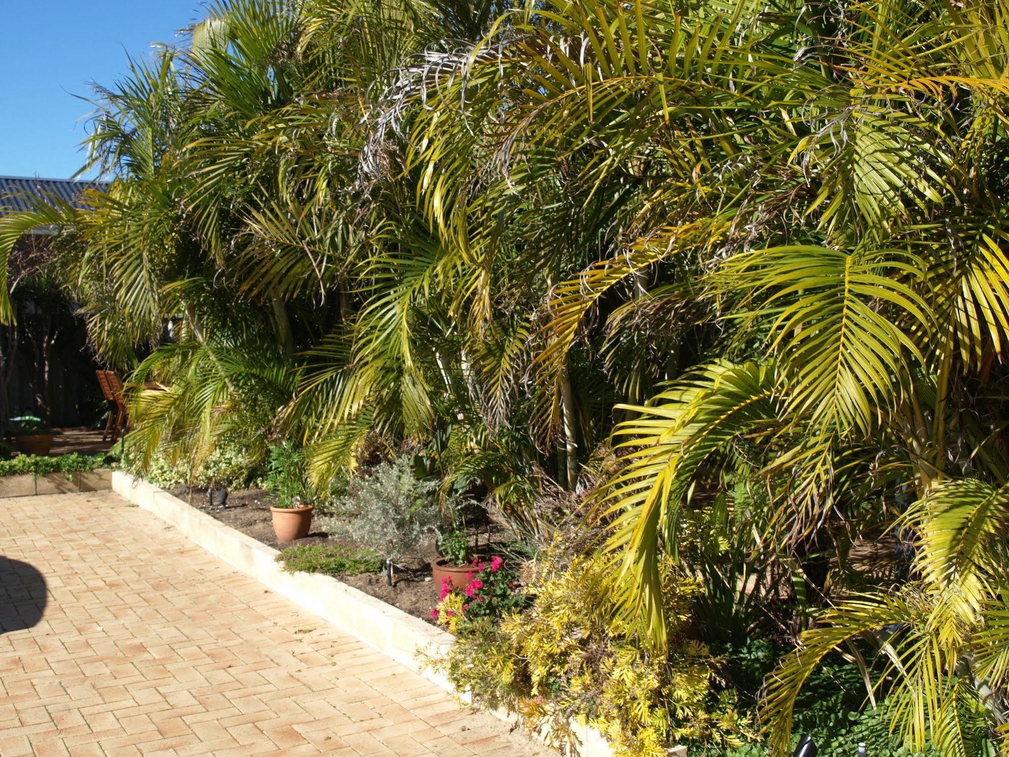 Baudins Of Busselton Bed And Breakfast - Adults Only Экстерьер фото